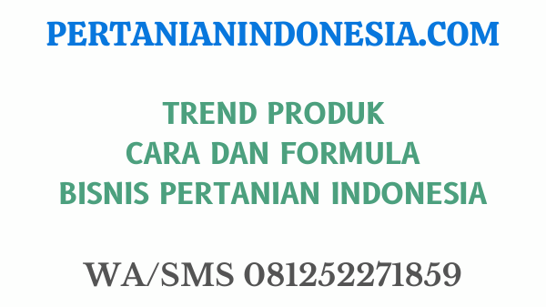 Trend Produk Cara Dan Formula Bisnis Pertanian Indonesia